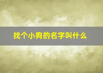 找个小狗的名字叫什么