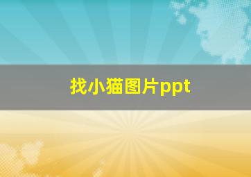 找小猫图片ppt