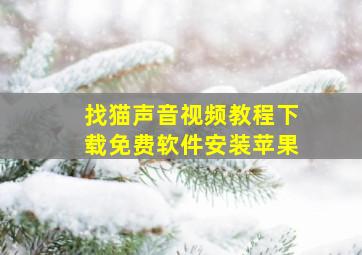 找猫声音视频教程下载免费软件安装苹果