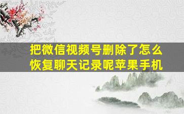 把微信视频号删除了怎么恢复聊天记录呢苹果手机