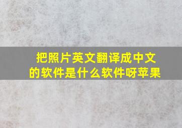 把照片英文翻译成中文的软件是什么软件呀苹果