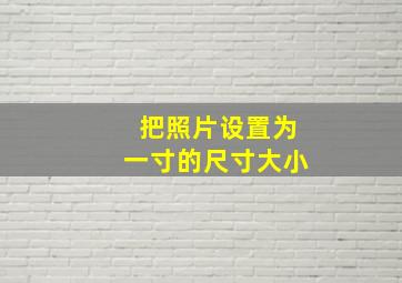 把照片设置为一寸的尺寸大小