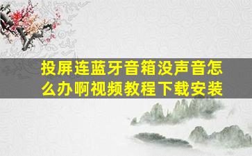 投屏连蓝牙音箱没声音怎么办啊视频教程下载安装