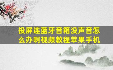 投屏连蓝牙音箱没声音怎么办啊视频教程苹果手机