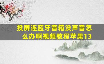 投屏连蓝牙音箱没声音怎么办啊视频教程苹果13