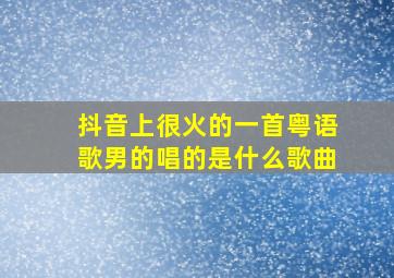 抖音上很火的一首粤语歌男的唱的是什么歌曲