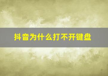 抖音为什么打不开键盘