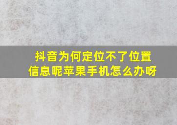 抖音为何定位不了位置信息呢苹果手机怎么办呀