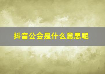 抖音公会是什么意思呢