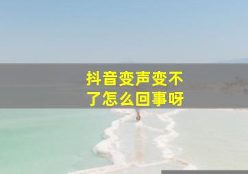 抖音变声变不了怎么回事呀