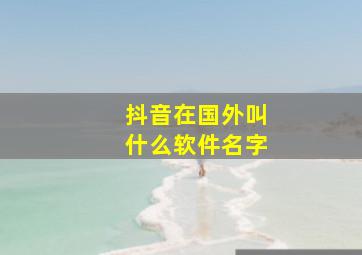 抖音在国外叫什么软件名字