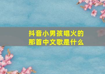 抖音小男孩唱火的那首中文歌是什么