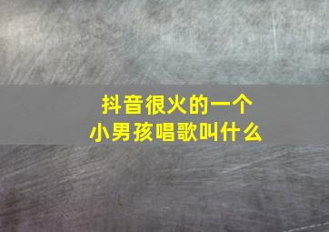 抖音很火的一个小男孩唱歌叫什么