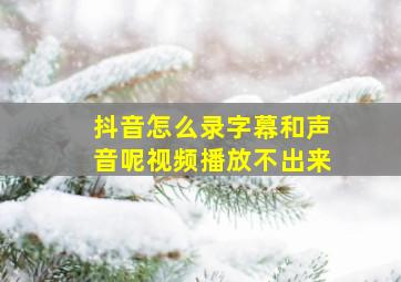 抖音怎么录字幕和声音呢视频播放不出来