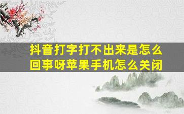 抖音打字打不出来是怎么回事呀苹果手机怎么关闭