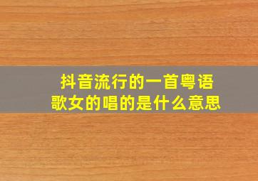 抖音流行的一首粤语歌女的唱的是什么意思