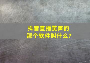 抖音直播笑声的那个软件叫什么?