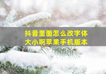 抖音里面怎么改字体大小啊苹果手机版本