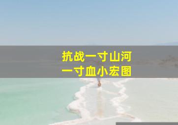 抗战一寸山河一寸血小宏图