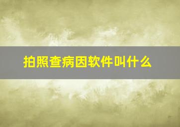 拍照查病因软件叫什么