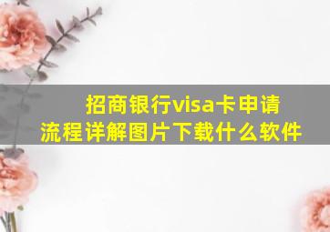 招商银行visa卡申请流程详解图片下载什么软件