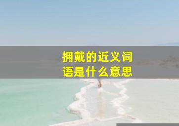 拥戴的近义词语是什么意思