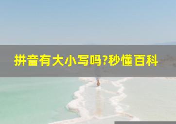 拼音有大小写吗?秒懂百科