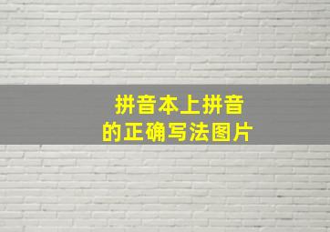 拼音本上拼音的正确写法图片