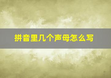 拼音里几个声母怎么写