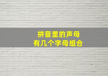 拼音里的声母有几个字母组合