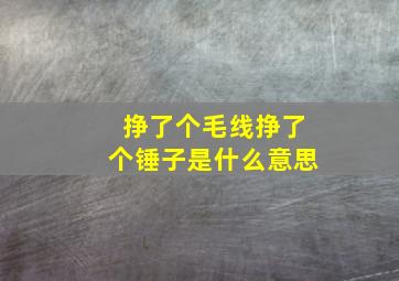 挣了个毛线挣了个锤子是什么意思