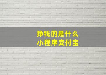 挣钱的是什么 小程序支付宝