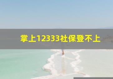 掌上12333社保登不上