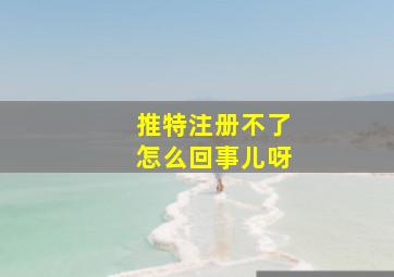 推特注册不了怎么回事儿呀