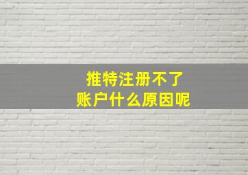 推特注册不了账户什么原因呢