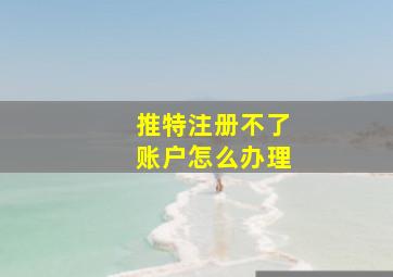 推特注册不了账户怎么办理