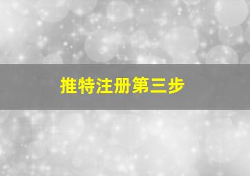 推特注册第三步