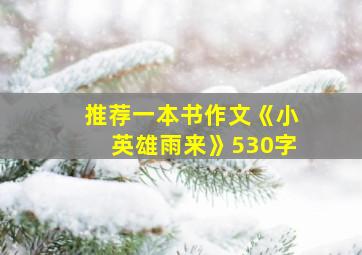 推荐一本书作文《小英雄雨来》530字