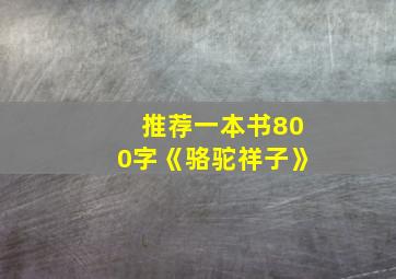 推荐一本书800字《骆驼祥子》