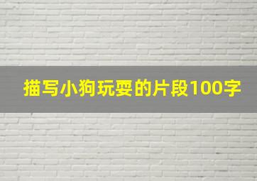 描写小狗玩耍的片段100字