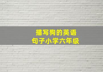 描写狗的英语句子小学六年级