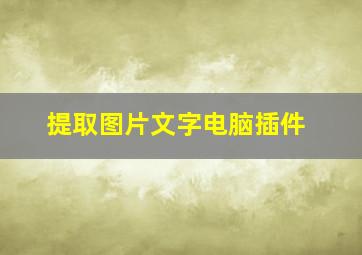 提取图片文字电脑插件