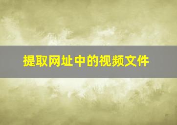 提取网址中的视频文件