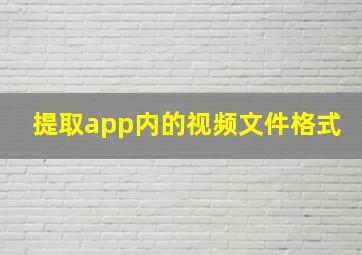 提取app内的视频文件格式