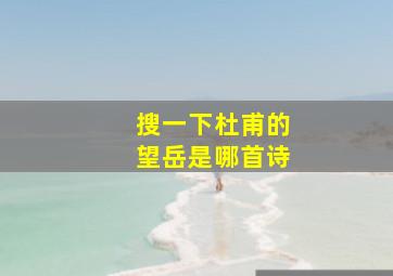 搜一下杜甫的望岳是哪首诗