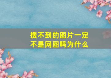 搜不到的图片一定不是网图吗为什么