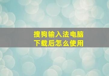 搜狗输入法电脑下载后怎么使用