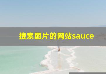 搜索图片的网站sauce