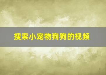 搜索小宠物狗狗的视频