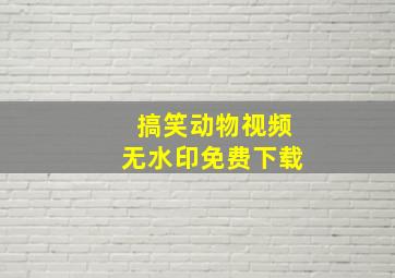 搞笑动物视频无水印免费下载